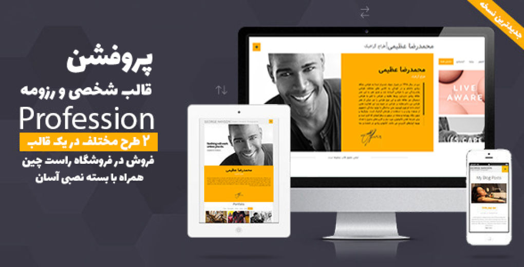 قالب وردپرس شخصی و رزومه پروفشن | Profession