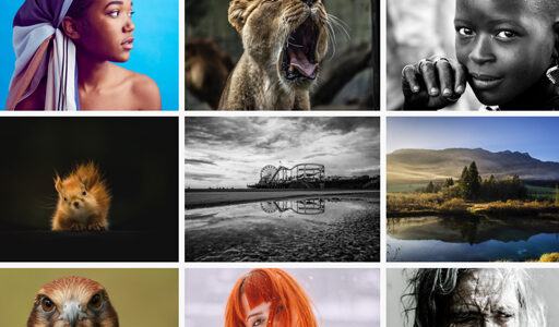 بهترین قالب نمونه کار و گالری