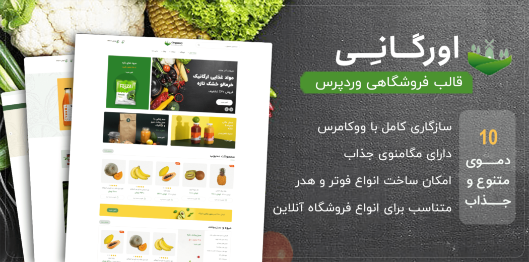قالب فروشگاهی اورگانی، Organey