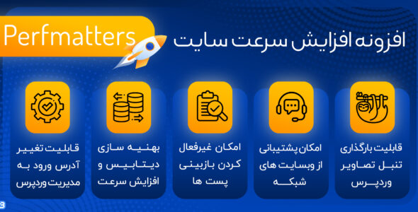 افزونه Perfmatters، افزایش سرعت سایت