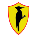 erfanmoshafi