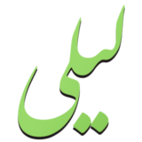 توسعه وردپرس با لیلی