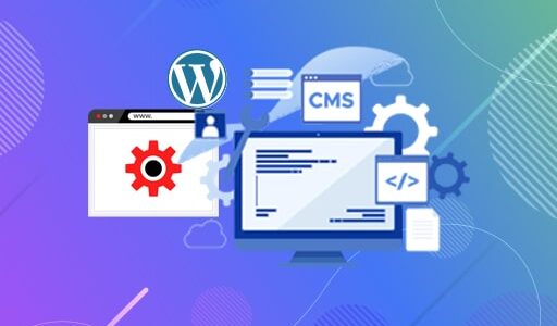 نصب وردپرس روی پلسک