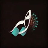 امیر گرجی