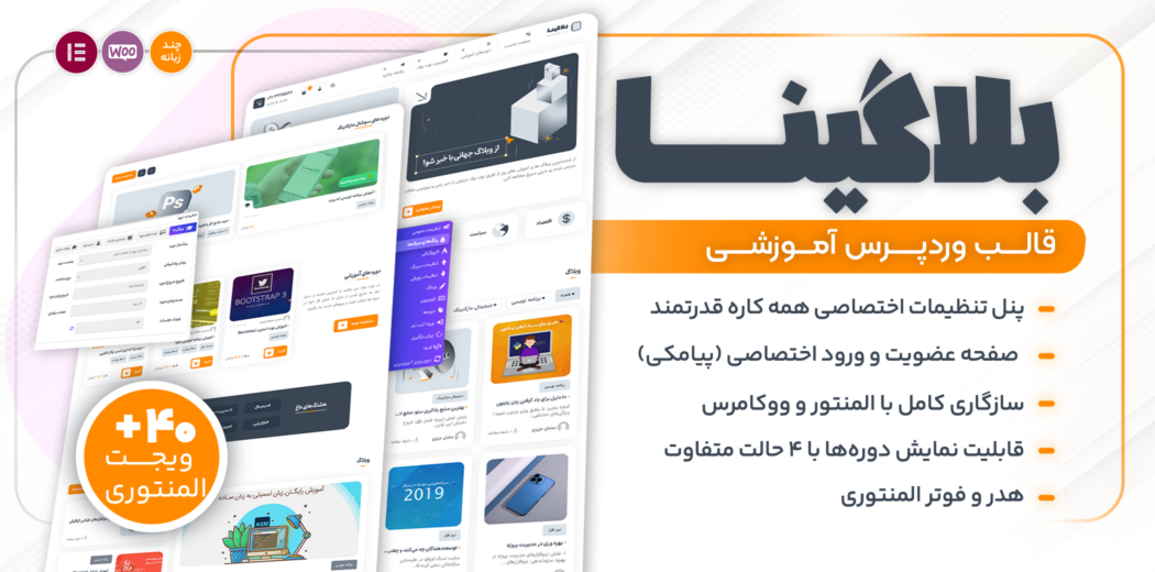 قالب آموزشی بلاگینا، Blogina