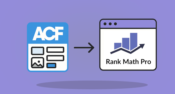 ACF در رنک مث: راهنمای جامع استفاده از زمینه‌های سفارشی در سئو وردپرس