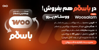 ووسلام پرو، افزونه اتصال ووکامرس به باسلام