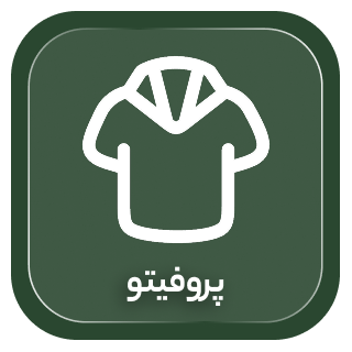 پروفیتو، افزونه پرو آنلاین لباس با هوش مصنوعی