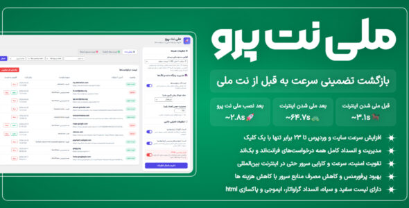ملی‌نت پرو، افزونه بهینه ساز سایت با اینترنت ملی