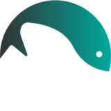 Amirmohammad