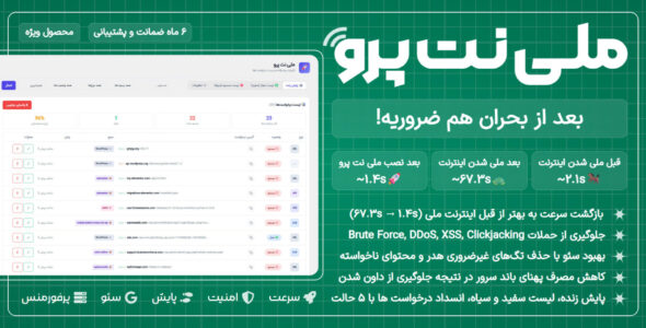 ملی‌نت پرو، افزونه بهینه ساز سایت با اینترنت ملی