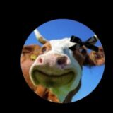behrouzgamer